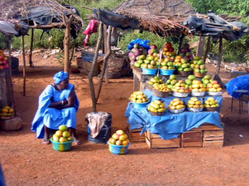 A mango stand